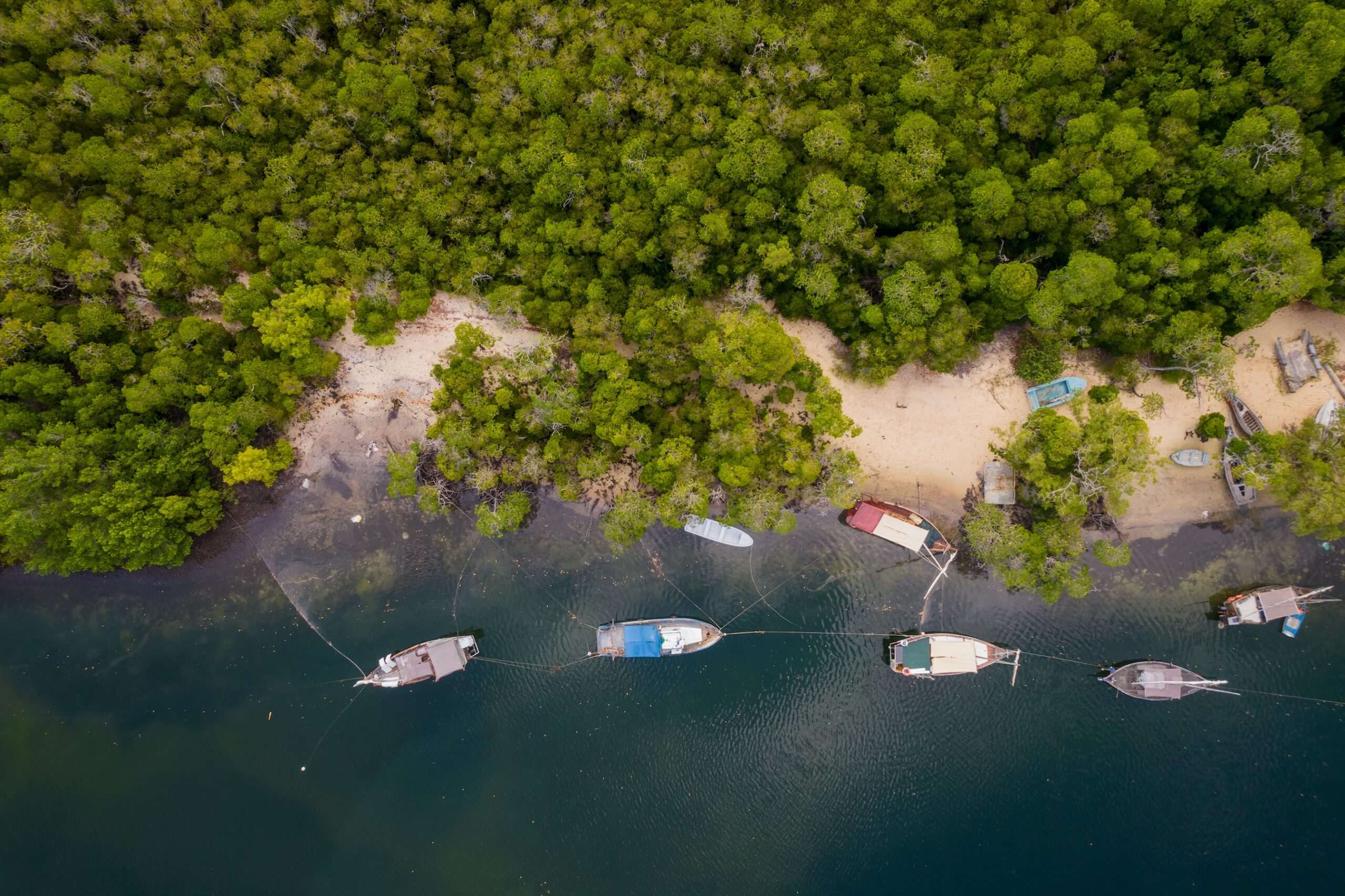 drone shot of Mida Creek, Kenya