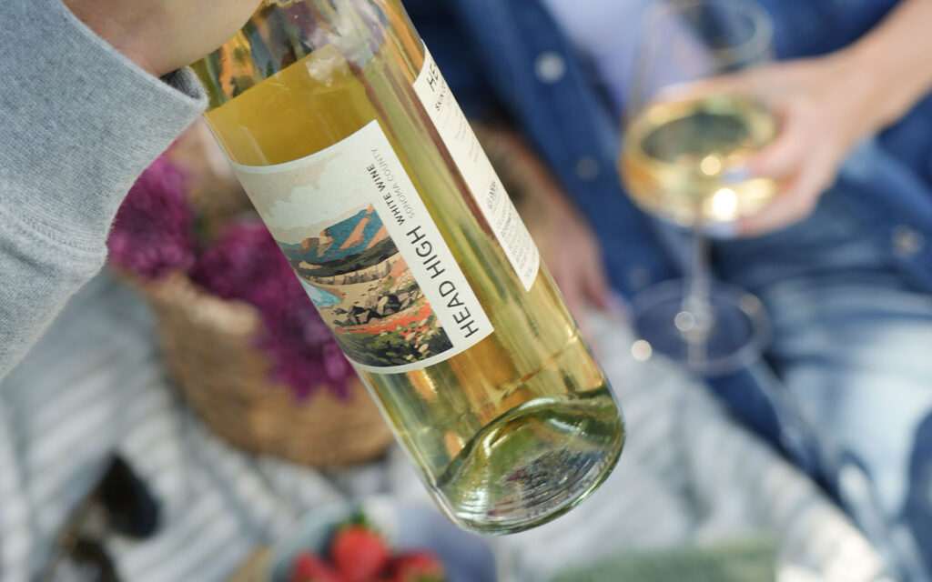 Person holding bottle at picnic in the park with a friend holding a glass of wine